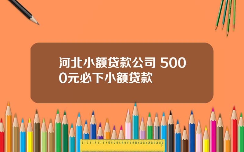 河北小额贷款公司 5000元必下小额贷款